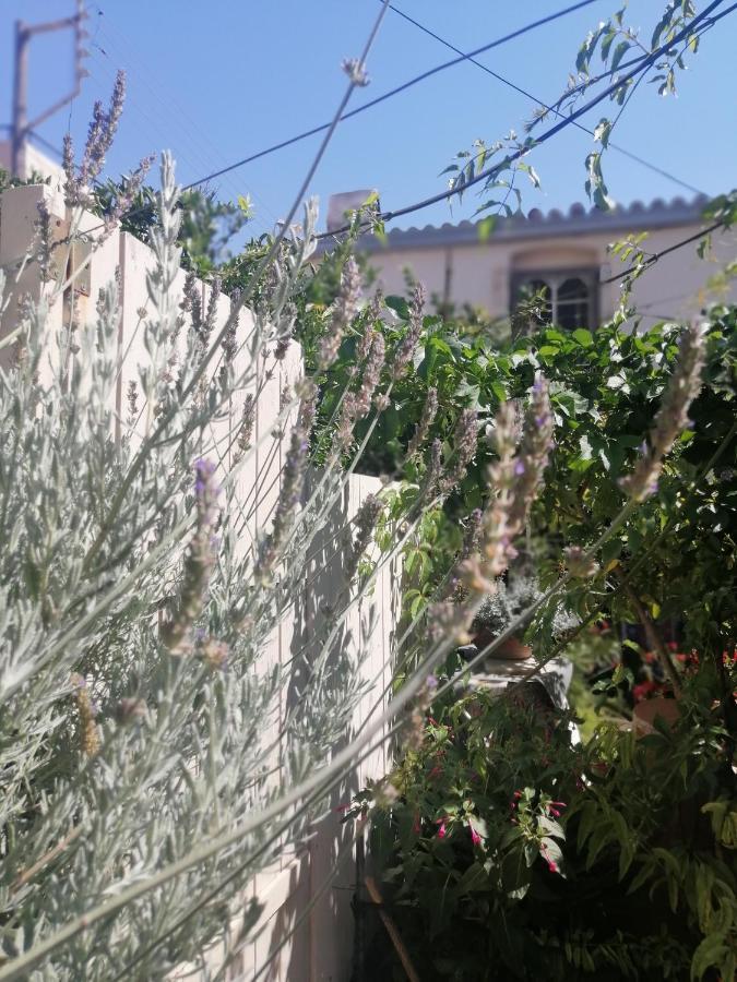 "Eirini" Traditional House Creta Archanes, Αρχάνες Σπίτι Zewnętrze zdjęcie